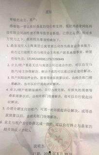 浮力影院第一页国产,浮力影院引领国内观影新潮流